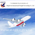 Transporte aéreo do remetente de frete do ar de China da China a ultramarino